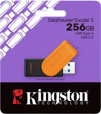Флеш Диск Kingston 256GB DataTraveler Exodia S