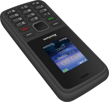 Мобильный телефон Xenium X175