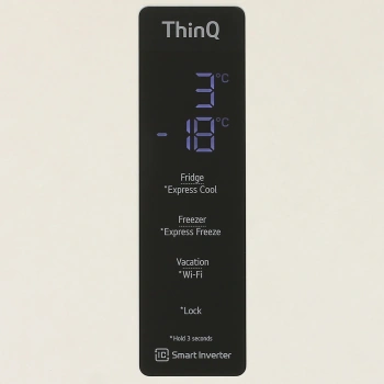 Холодильник LG GC-B509MEWM