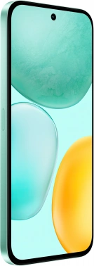 Смартфон Honor x6c 128Gb 6Gb зеленый моноблок 3G 4G 2Sim 6.61