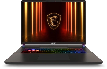 Ноутбук MSI Vector  17 HX AI A2XWJG-099XRU
