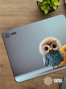 Коврик для мыши Cactus Owl gray