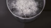 2118498_v07_s.webp