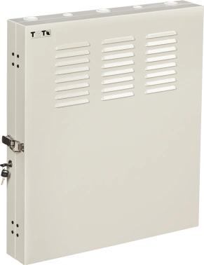 Шкаф коммутационный Lanmaster (TWT-CBVRT-2U-6X7-GY) настенный 2U 650x114мм пер.дв.металл направл.под винты 68кг серый 505мм 19кг 741мм IP20 сталь