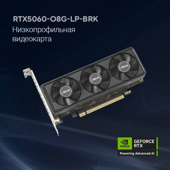 Видеокарта Asus PCI-E 5.0  RTX5060-O8G-LP-BRK