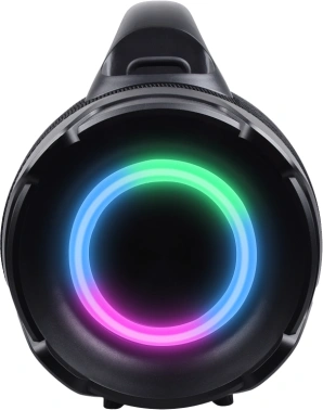 Колонка порт. Ural Урал ТТ М6+ КАРАОКЕ