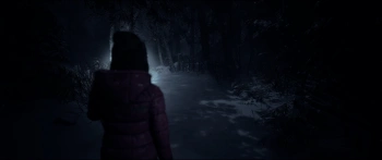 Игра для ПК PlayStation Until Dawn (18+)