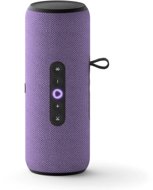 Умная колонка Yandex Стрит Алиса фиолетовый 30W 2.0 BT/Wi-Fi 10м 3300mAh (YNDX-00030VIO)