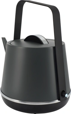 Чайник электрический Rondell RDE-WK813