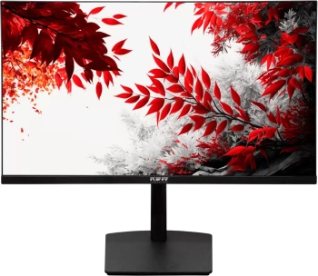 Монитор RDW Computers 31.5