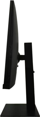 Монитор RDW Computers 31.5