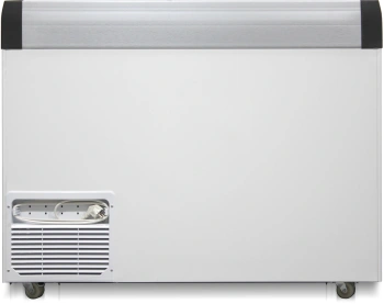 Морозильный ларь Бирюса CF32 (4)