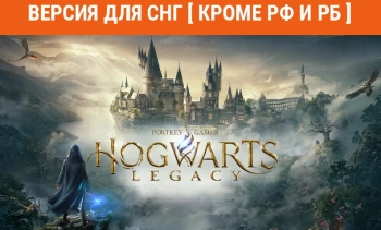 Игра для ПК Warner Brothers Hogwarts Legacy (12+)