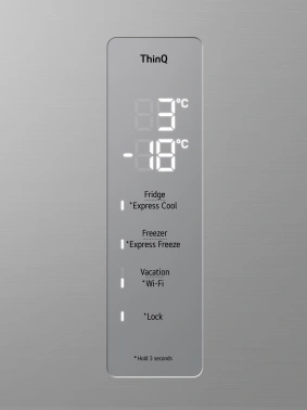 Холодильник LG GC-B509ANMW