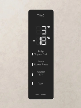 Холодильник LG GC-B509AEMW