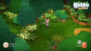 Игра для ПК Team 17 Hokko Life (6+)