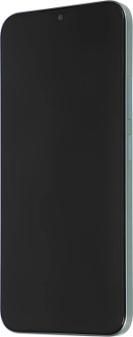 Смартфон Xiaomi Redmi 15C 256Gb 4Gb мятный зеленый моноблок 3G 4G 2Sim 6.9