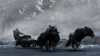 Игра для ПК THQ Nordic Fade to Silence (18+)