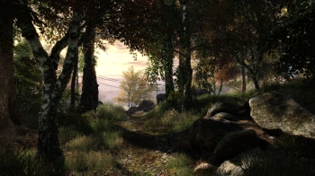 Игра для ПК THQ Nordic The Vanishing of Ethan Carter (18+)