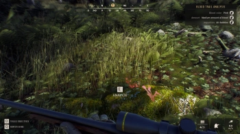 Игра для ПК THQ Nordic Way of the Hunter (16+)