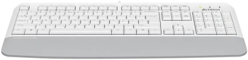 Клавиатура A4Tech Fstyler FK20