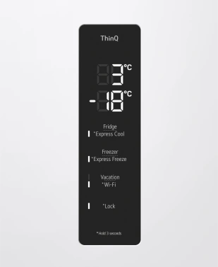 Холодильник LG GC-B509FQQW