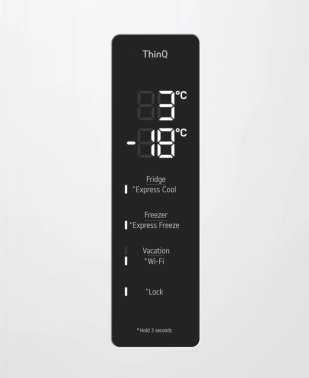 Холодильник LG GC-B459AQQW