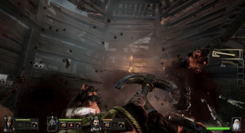 Игра для ПК Fatshark Warhammer: End Times - Vermintide Collector`s Edit (18+)