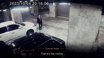 Игра для ПК H2 Interactive Tokyo Psychodemic (16+)