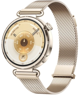 Смарт-часы Huawei Watch GT 6 Konsu-B19M