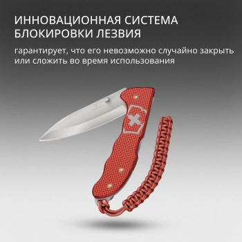 Нож перочинный Victorinox Evoke Alox LE 2025 Stone Red
