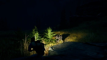 Игра для ПК 505 Games Open Country (18+)