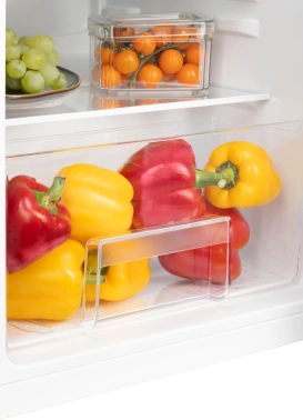 Холодильник Nord NT 90 W