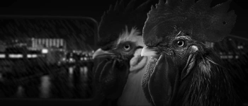 Игра для ПК HandyGames Chicken Police - Paint it RED! (16+)