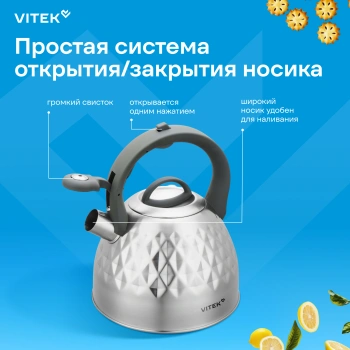Чайник металлический Vitek Вкус жизни VT-WK1210