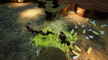 Дополнение к игре для ПК Hooded Horse Empires of the Undergrowth - Exploding Ants (6+)