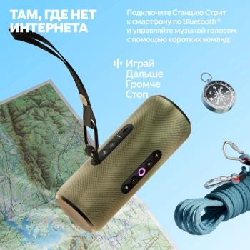 Умная колонка Yandex Стрит Алиса оранжевый 30W 2.0 BT/Wi-Fi 10м 3300mAh (YNDX-00030ORG)