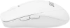 2135296_v29_s.webp