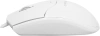2135389_v24_s.webp