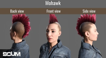 Дополнение к игре для ПК Jagex SCUM Female Hair Pack (18+)