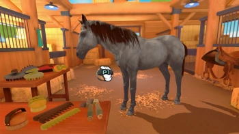 Игра для ПК Microids Equestrian Training (6+)