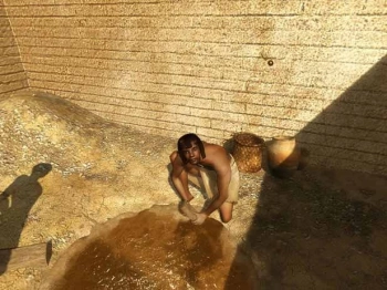 Игра для ПК Microids The Egyptian Prophecy: The Fate of Ramses (0+)