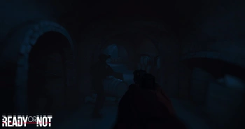 Игра для ПК Void Interactive Ready or Not (18+)