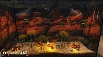 Игра для ПК PlayWay Aquarist (0+)