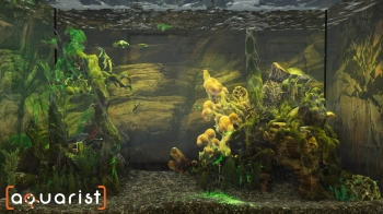 Игра для ПК PlayWay Aquarist (0+)