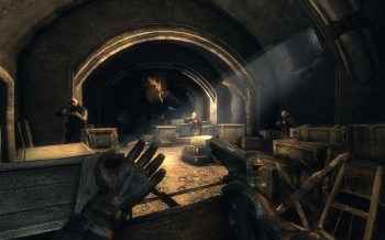 Игра для ПК Fulqrum Publishing Necrovision (18+)