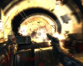 Игра для ПК Fulqrum Publishing Necrovision Hardcore Edition (18+)