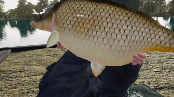 Дополнение к игре для ПК Dovetail Fishing Sim World: Pro Tour - Gigantica Road Lake (0+)