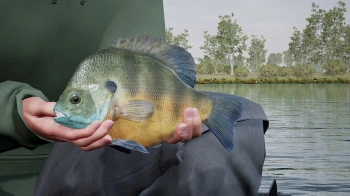 Дополнение к игре для ПК Dovetail Fishing Sim World: Pro Tour - Lake Williams (0+)