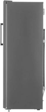 Морозильная камера Beko RFSK215T01G